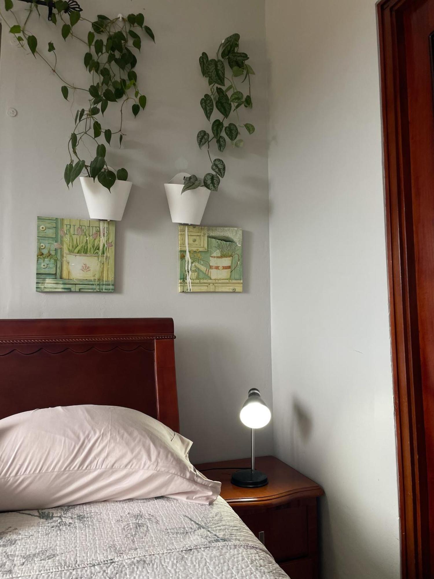 Hostel Kimmell / Hostal Familiar La Casita De Los Kimmell Las Tablas Phòng bức ảnh